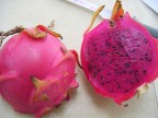 Dragon Fruit by Sara.JPG (96 KB)